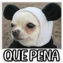 QUE SAD 6