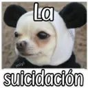 QUE SAD 20
