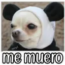 QUE SAD 19