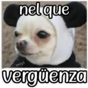 QUE SAD 5
