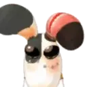 conejito bello ️ mov 15