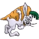 conejito bello ️ mov 30