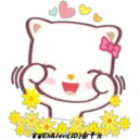 Moka Miau 2