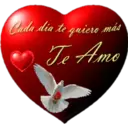TE AMO 22