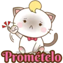 Zuki, Gatita Siamés (2) 27