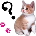 ရ
"
✿