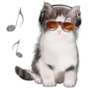 Cute Cats 2 9