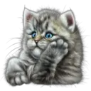 Cute Cats 2 19