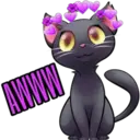 AWWW