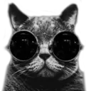 Cute Cats 2 25