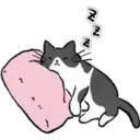 {
2
N
M