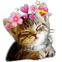 Cute Cats 2 29