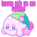 Kirby Cute 30