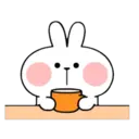 SPOILED RABBIT REACTION 21