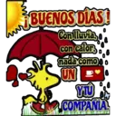 BUENOS DÍAS!
Con lluvia,
con calor,
nada como
UN P
YU
COMPANIA