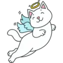 Gatita White 21