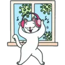 Gatita White 2 12