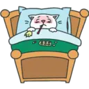 Gatita White 3 7