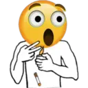 MOJI FUN 22