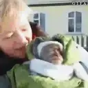 What little monkeys 28