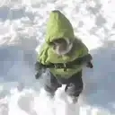 What little monkeys 16