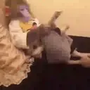 What little monkeys 6