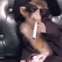 What little monkeys 9