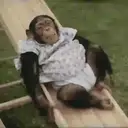 What little monkeys 10