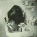 What little monkeys 22