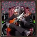 What little monkeys 1