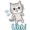 Cat Cat 8