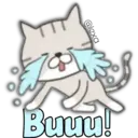 Cat Cat 11