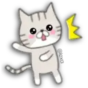 Cat Cat 25