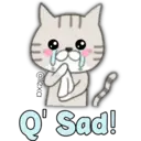 Cat Cat 22