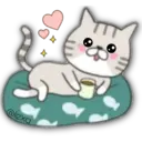 Cat Cat 28