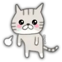 Cat Cat 12