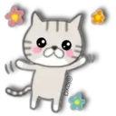 Cat Cat 5