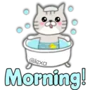 Cat Cat 23