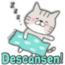 Cat Cat 19