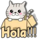 Cat Cat 18