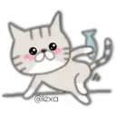 Cat Cat 2
