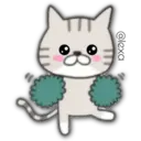 Cat Cat 29