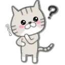 Cat Cat 27