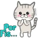 Cat Cat 1