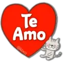 Cat Cat 21
