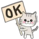 Cat Cat 10