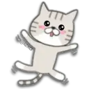 Cat Cat 13