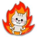 Cat Cat 16