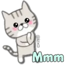 Cat Cat 6