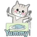 Cat Cat 7